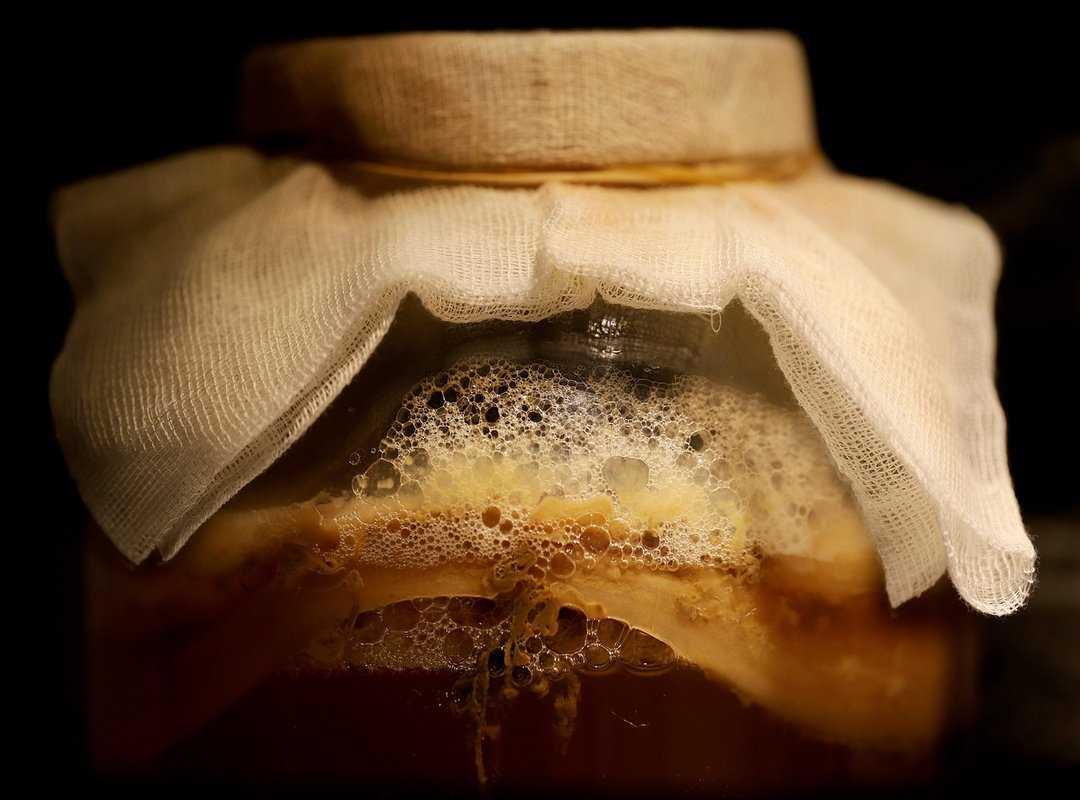 fermentation cultural role