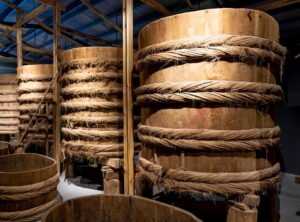 fermentation cultural role